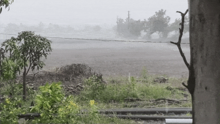 Gujarat : સતત બીજા દિવસે દેવભૂમિ દ્વારકામાં કમોસમી વરસાદ, 9 જિલ્લામાં ઍલર્ટ જાહેર