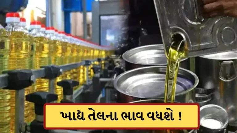 Business : રસોડાના બજેટમાં થશે ખલેલ, ખાદ્ય તેલ મોંઘુ થઈ શકે છે