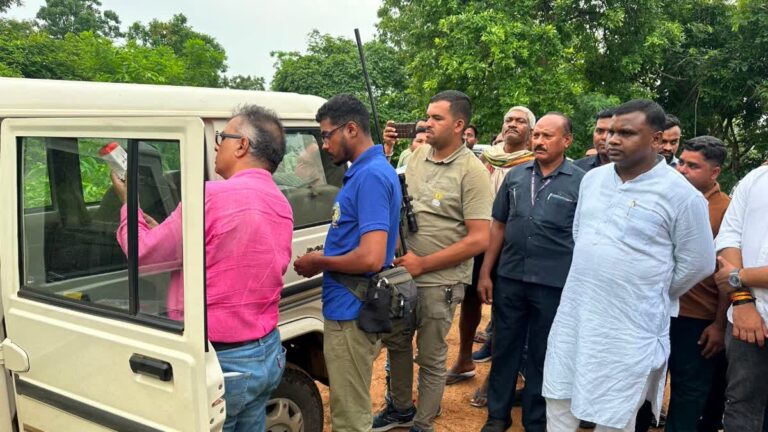 National : પાલનપુરમાં ખેતરમાં કામ કરી રહેલા 3 લોકો પર રીંછનો હુમલો