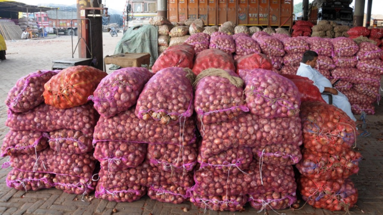 National : 10 જ દિવસમાં વેચાઈ ગઈ 4,000 ટન ડુંગળી, સરકારી ભાવ માત્ર ₹35 પ્રતિ કિલો